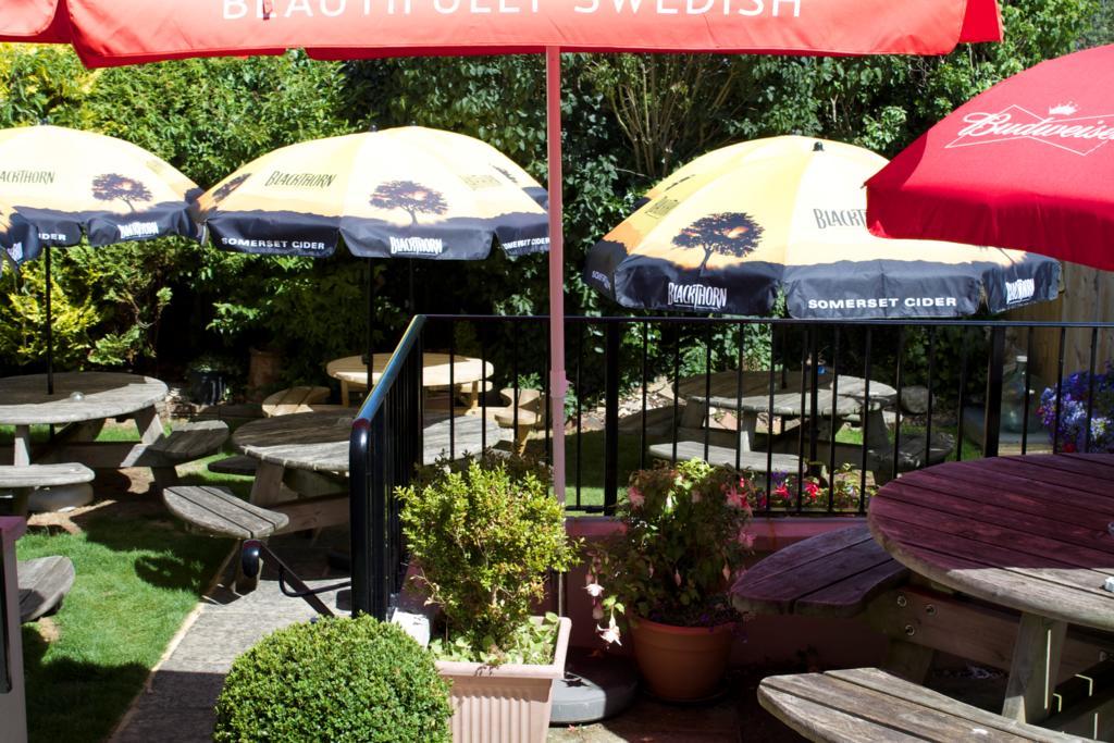 The Pilot Inn Ήστμπορν Εξωτερικό φωτογραφία